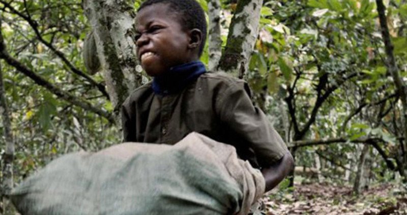 Chocolate Giants Avoid Liability in Child Labor Case, U.S. Appeals Court Rules