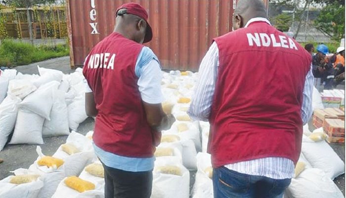 NDLEA Nabs Wanted Cleric, Seizes Tonnes of Cannabis and Opioids in Sweeping Nationwide Raids