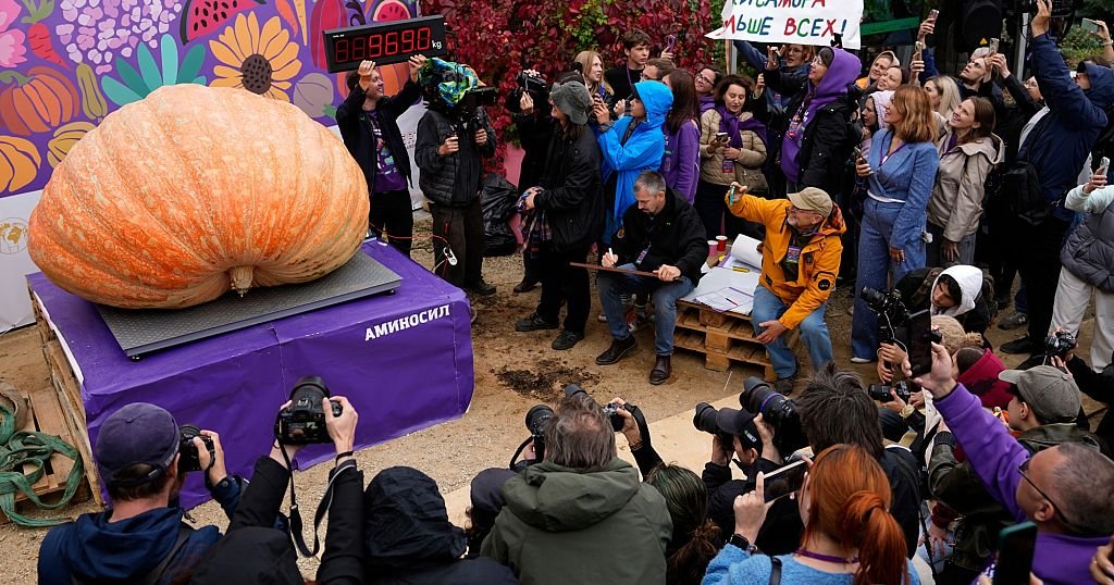 Giant Pumpkin Smashes Russian Record at 969 Kilos