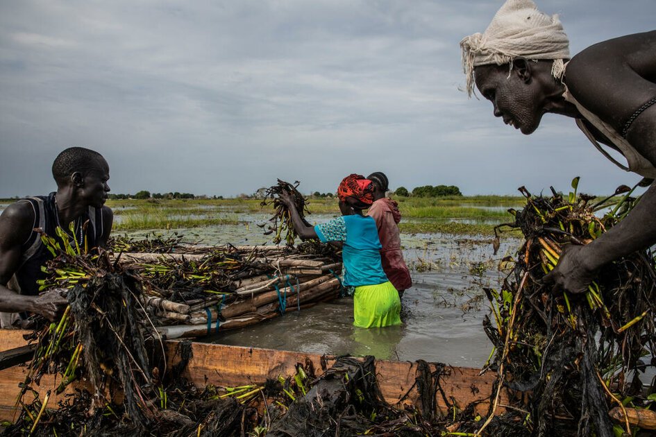 Sudan Communities Struggle to Survive as Persistent Flooding Transforms Life in South Sudan